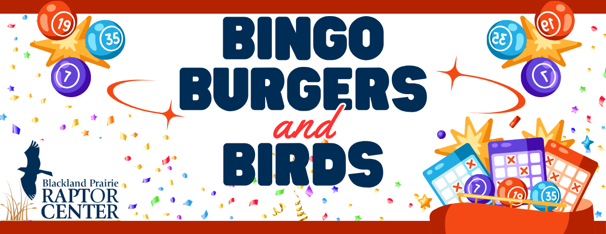 Bingo, Burgers, and Birds - April